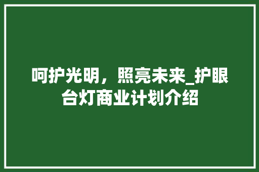 呵护光明，照亮未来_护眼台灯商业计划介绍