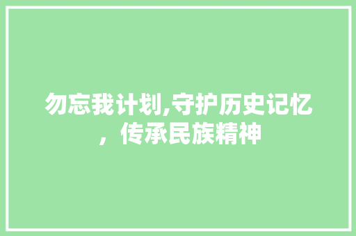 勿忘我计划,守护历史记忆，传承民族精神 演讲稿