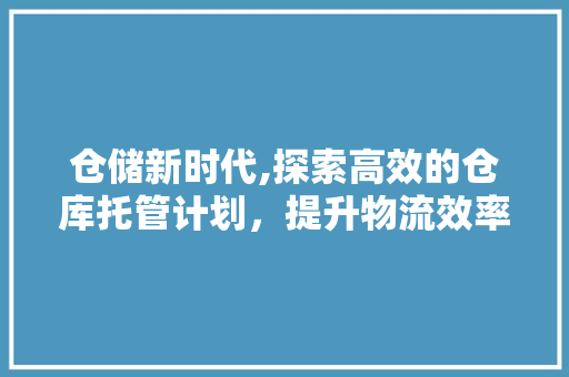 仓储新时代,探索高效的仓库托管计划，提升物流效率与成本控制
