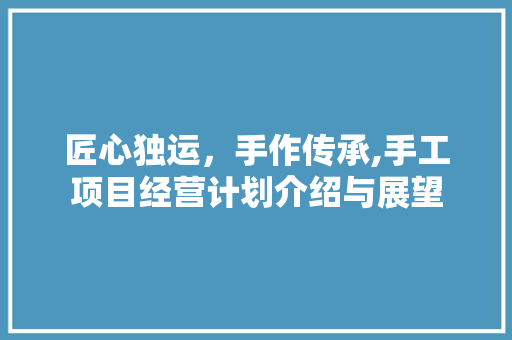 匠心独运，手作传承,手工项目经营计划介绍与展望