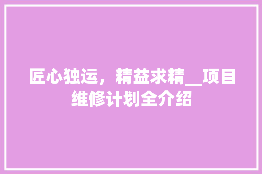 匠心独运，精益求精__项目维修计划全介绍
