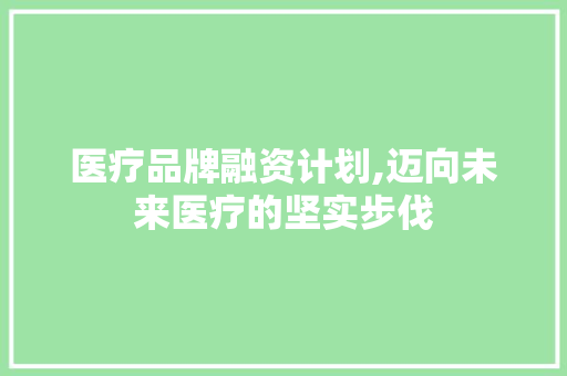医疗品牌融资计划,迈向未来医疗的坚实步伐