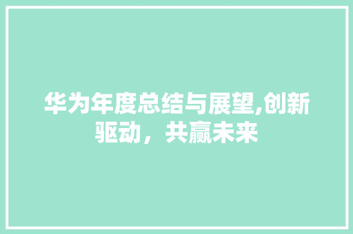华为年度总结与展望,创新驱动，共赢未来