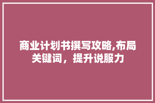 商业计划书撰写攻略,布局关键词，提升说服力