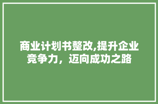商业计划书整改,提升企业竞争力，迈向成功之路