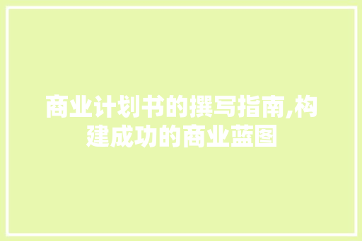 商业计划书的撰写指南,构建成功的商业蓝图