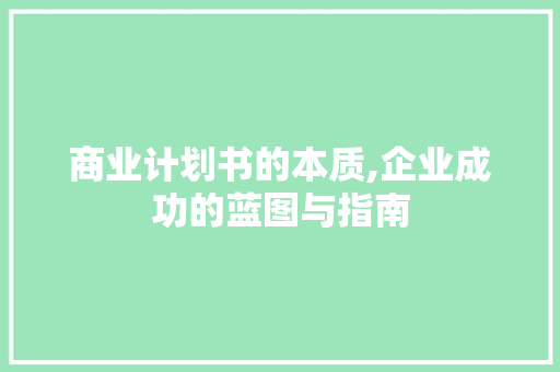 商业计划书的本质,企业成功的蓝图与指南