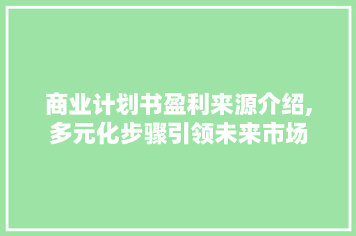 商业计划书盈利来源介绍,多元化步骤引领未来市场