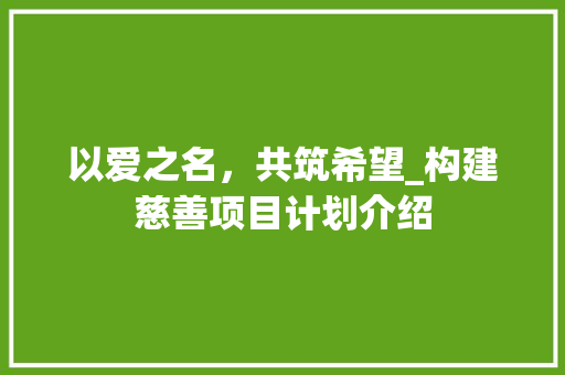 以爱之名，共筑希望_构建慈善项目计划介绍