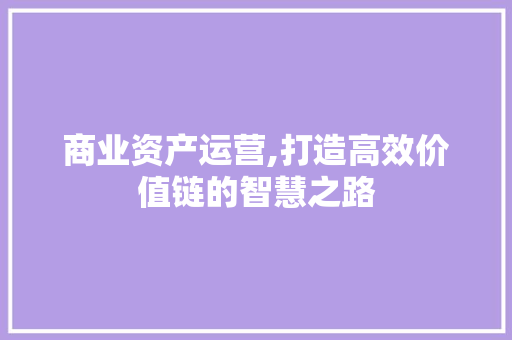商业资产运营,打造高效价值链的智慧之路