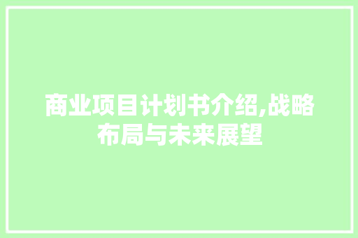 商业项目计划书介绍,战略布局与未来展望