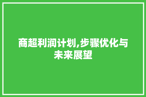商超利润计划,步骤优化与未来展望