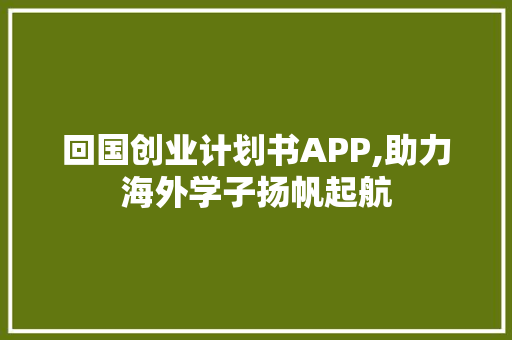 回国创业计划书APP,助力海外学子扬帆起航