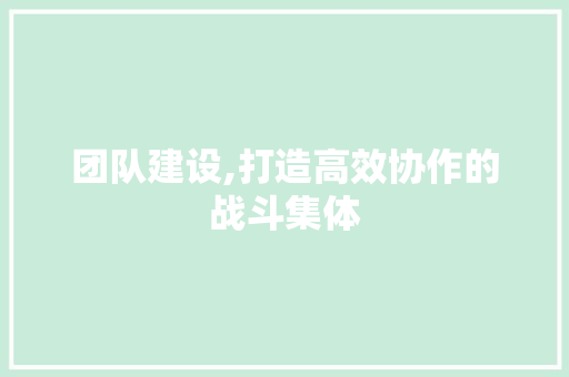 团队建设,打造高效协作的战斗集体