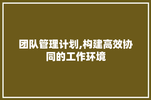 团队管理计划,构建高效协同的工作环境