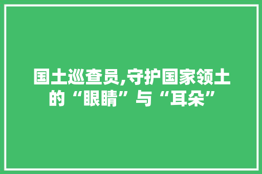 国土巡查员,守护国家领土的“眼睛”与“耳朵”