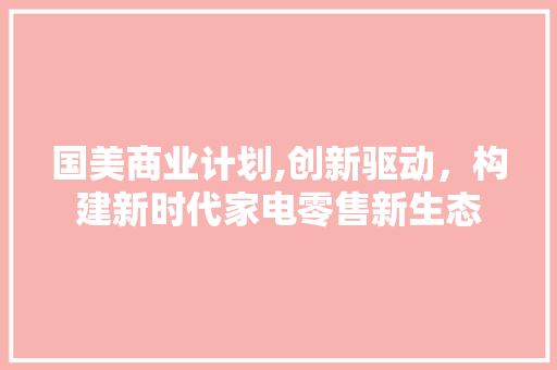 国美商业计划,创新驱动，构建新时代家电零售新生态