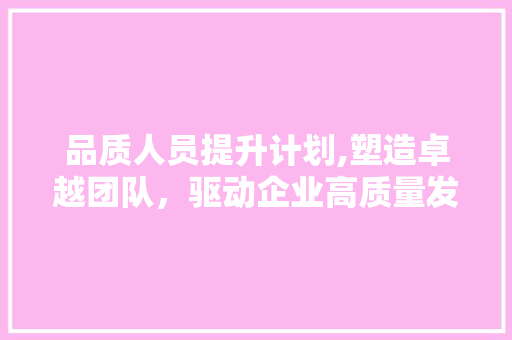 品质人员提升计划,塑造卓越团队，驱动企业高质量发展