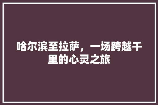 哈尔滨至拉萨，一场跨越千里的心灵之旅