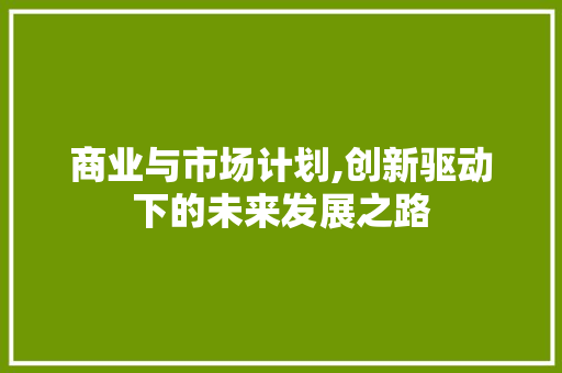 商业与市场计划,创新驱动下的未来发展之路
