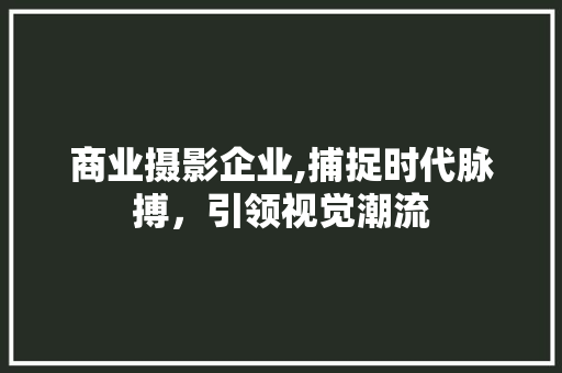 商业摄影企业,捕捉时代脉搏，引领视觉潮流