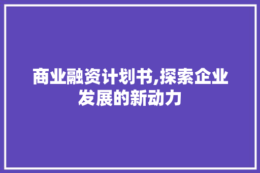 商业融资计划书,探索企业发展的新动力