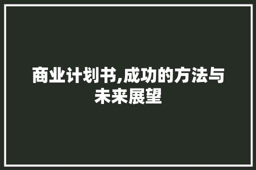 商业计划书,成功的方法与未来展望