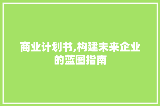 商业计划书,构建未来企业的蓝图指南