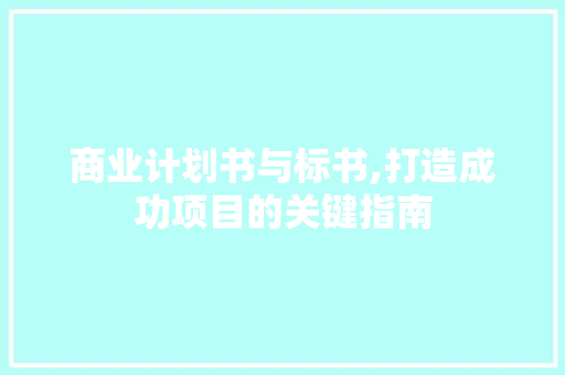 商业计划书与标书,打造成功项目的关键指南
