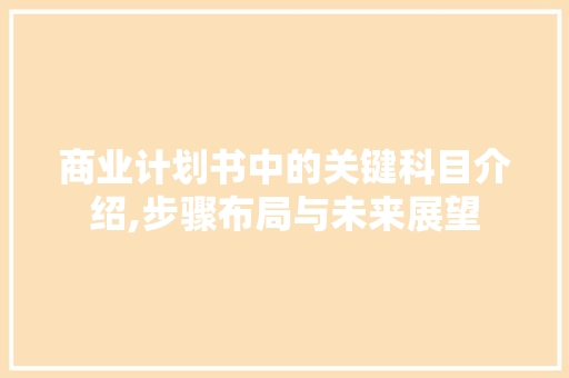 商业计划书中的关键科目介绍,步骤布局与未来展望