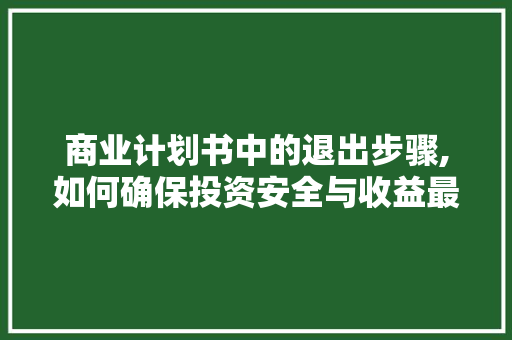商业计划书中的退出步骤,如何确保投资安全与收益最大化