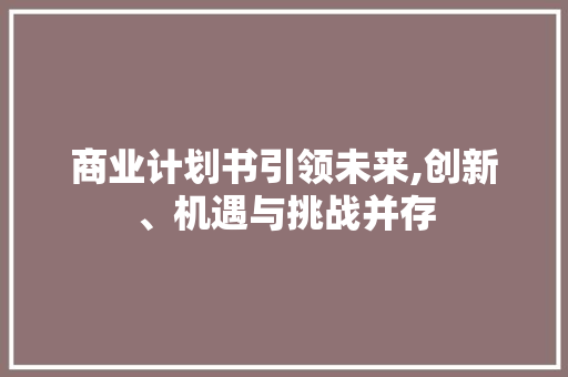 商业计划书引领未来,创新、机遇与挑战并存