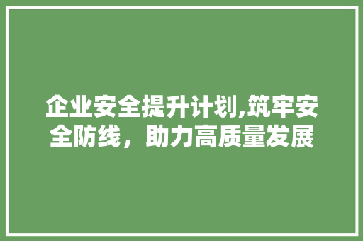 企业安全提升计划,筑牢安全防线，助力高质量发展