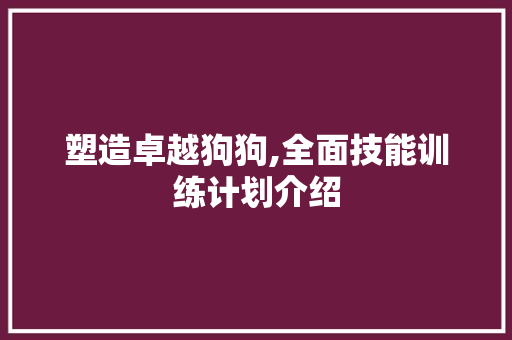 塑造卓越狗狗,全面技能训练计划介绍