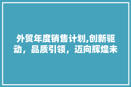 外贸年度销售计划,创新驱动，品质引领，迈向辉煌未来
