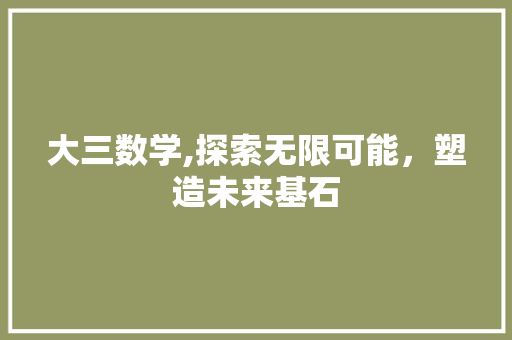 大三数学,探索无限可能，塑造未来基石