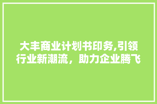 大丰商业计划书印务,引领行业新潮流，助力企业腾飞