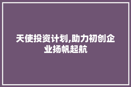 天使投资计划,助力初创企业扬帆起航
