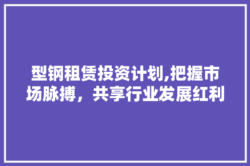 型钢租赁投资计划,把握市场脉搏，共享行业发展红利