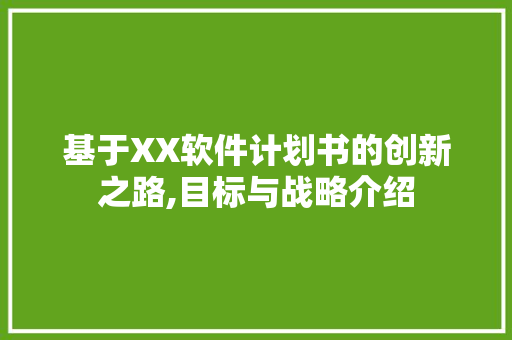 基于XX软件计划书的创新之路,目标与战略介绍