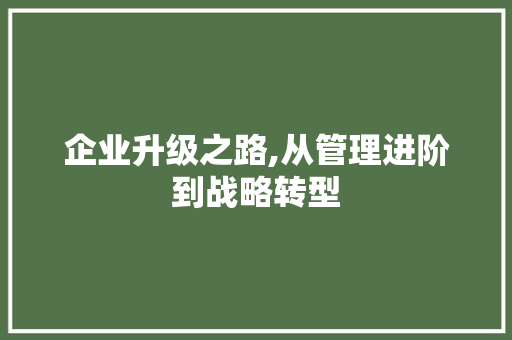 企业升级之路,从管理进阶到战略转型
