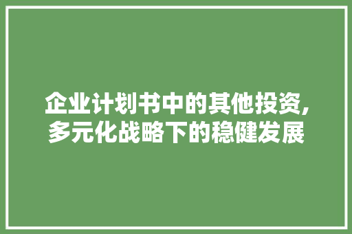 企业计划书中的其他投资,多元化战略下的稳健发展