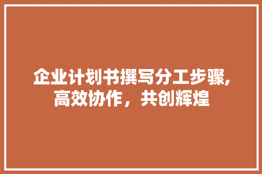 企业计划书撰写分工步骤,高效协作，共创辉煌