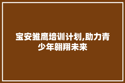 宝安雏鹰培训计划,助力青少年翱翔未来