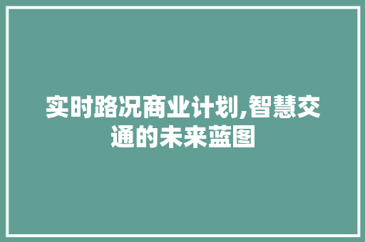 实时路况商业计划,智慧交通的未来蓝图