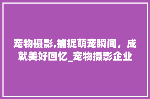 宠物摄影,捕捉萌宠瞬间，成就美好回忆_宠物摄影企业计划书