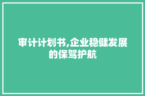审计计划书,企业稳健发展的保驾护航