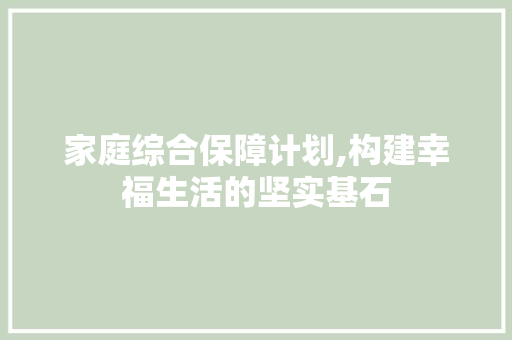 家庭综合保障计划,构建幸福生活的坚实基石 国学经典