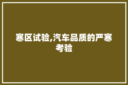 寒区试验,汽车品质的严寒考验