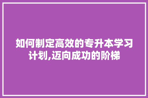 如何制定高效的专升本学习计划,迈向成功的阶梯